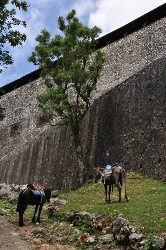 Muita gente usa cavalos para chegar até a Citadelle, no norte do Haiti